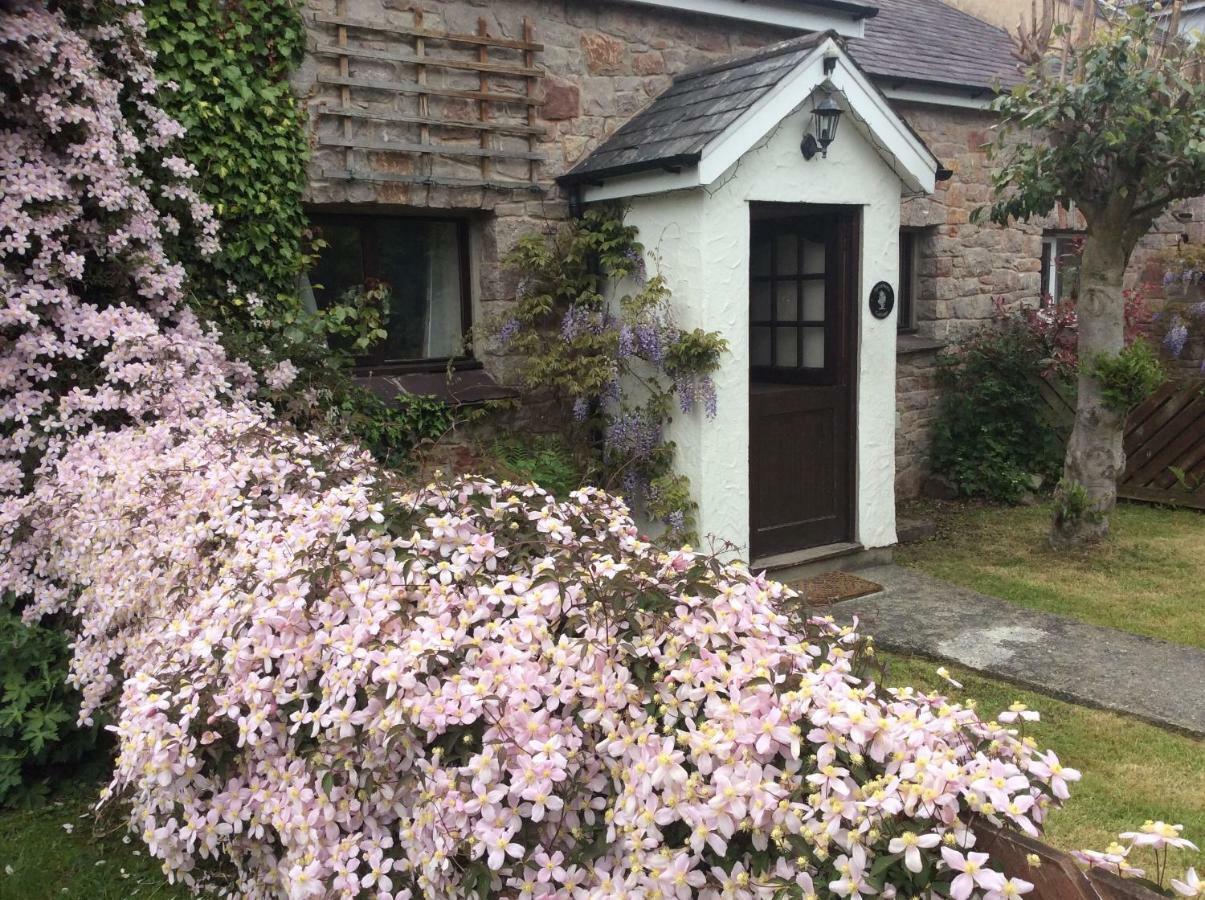 Sycamore Cottage Conwy Exterior foto